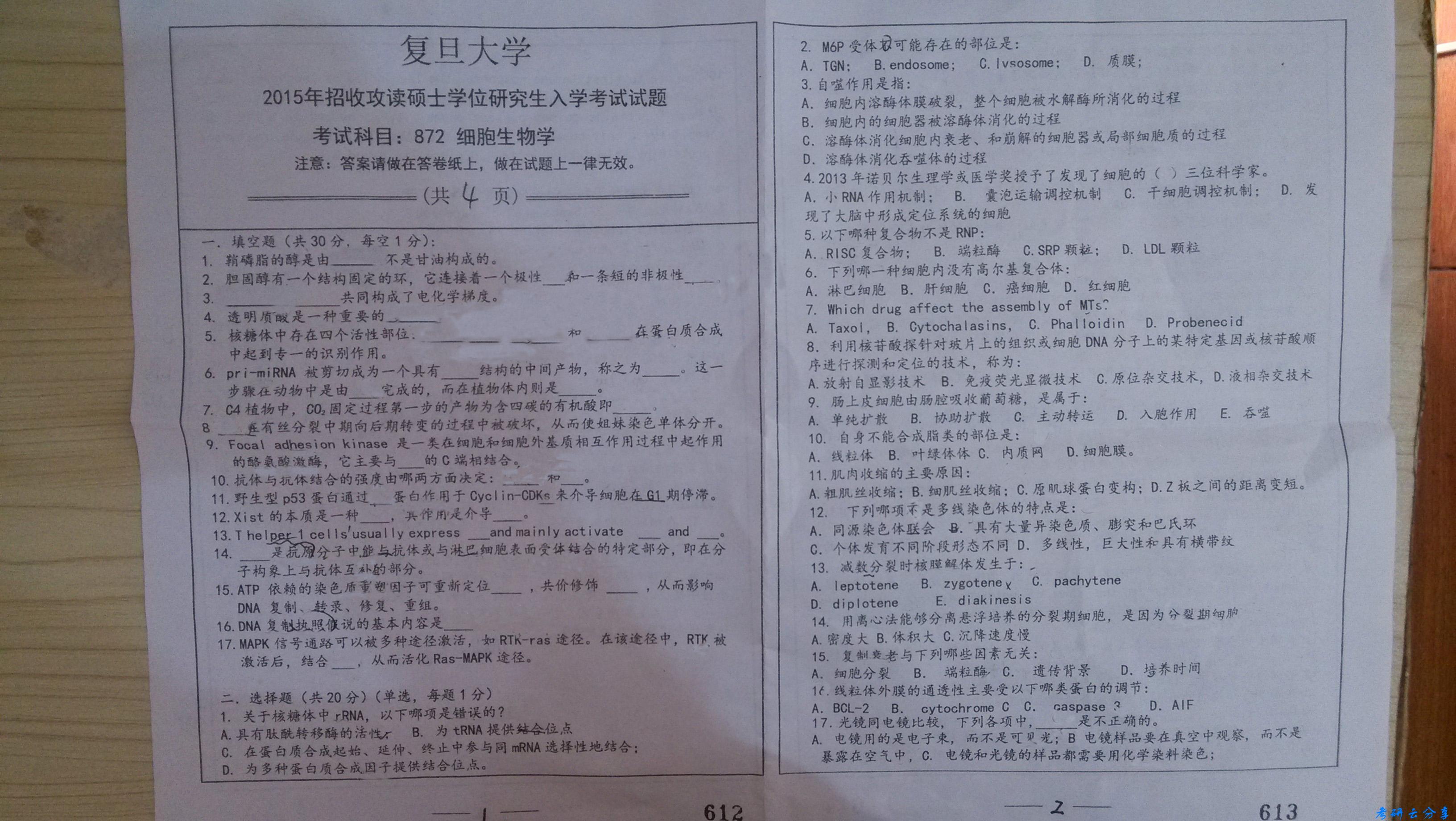 2015年复旦大学872细胞生物学考研真题,复旦大学细胞生物学,复旦大学,细胞生物学,第2张