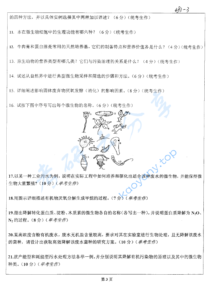 2004年北京科技大学环境微生物学考研真题,image.png,北京科技大学环境微生物学,北京科技大学,环境微生物学,第3张