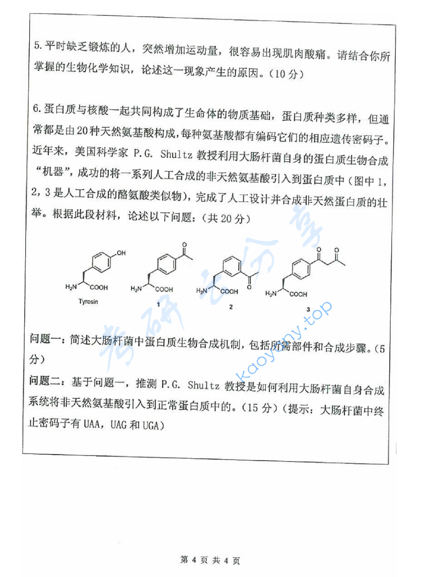 2011年武汉大学665生物化学考研真题及答案,image.png,武汉大学生物化学,武汉大学,生物化学,第4张