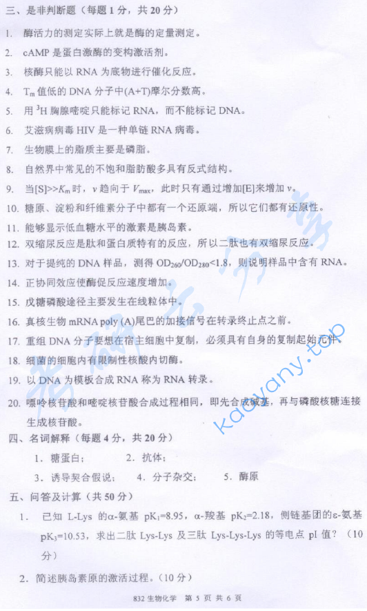2010年厦门大学832生物化学考研真题,image.png,厦门大学生物化学,厦门大学,生物化学,第5张
