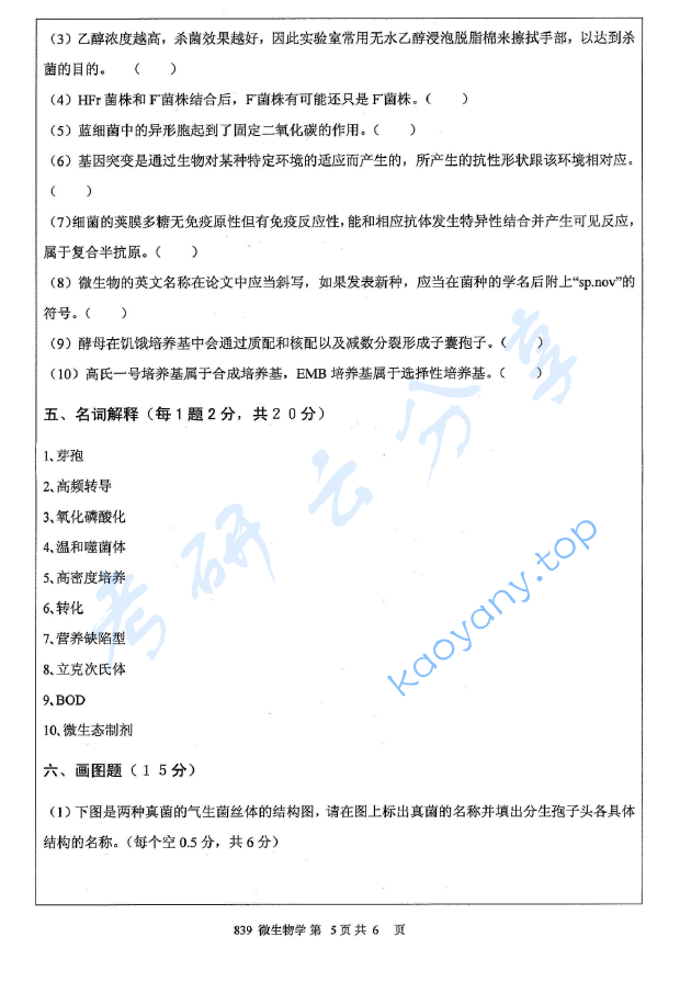 2012年江苏大学839微生物学A考研真题,image.png,江苏大学微生物学,江苏大学,微生物学,第5张