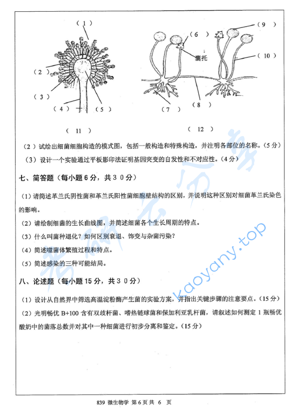 2012年江苏大学839微生物学A考研真题,image.png,江苏大学微生物学,江苏大学,微生物学,第6张