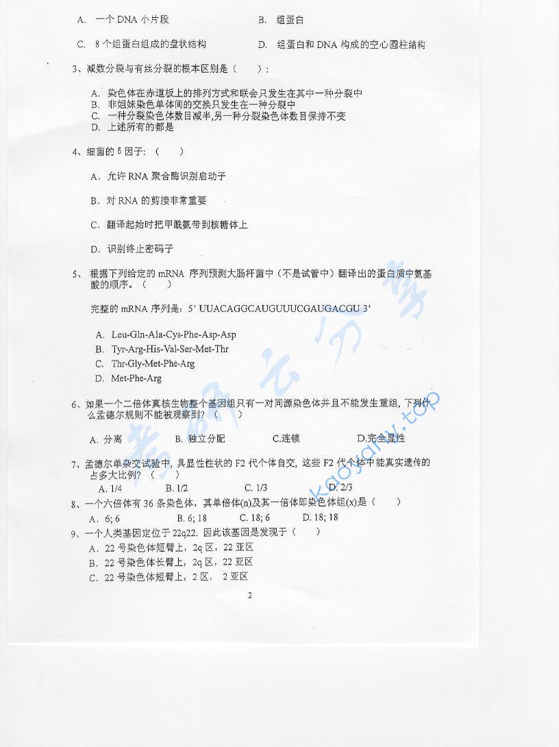 2006年北京林业大学448遗传学考研真题,北京林业大学遗传学,北京林业大学,遗传学,第2张