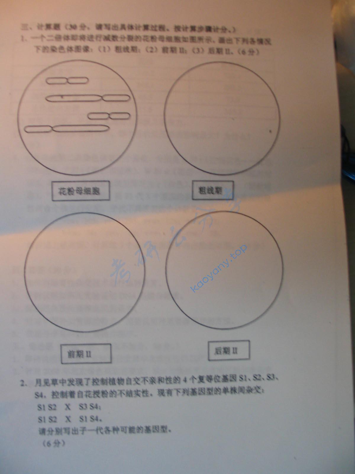 2006年北京林业大学园林植物遗传育种考研真题,北京林业大学园林植物遗传育种,北京林业大学,园林植物遗传育种,第2张
