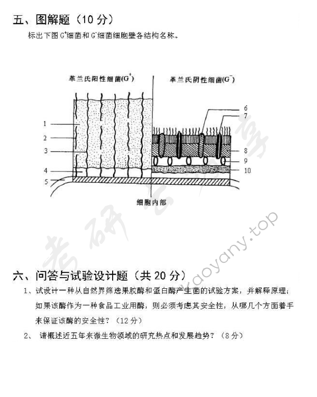 2017年江西农业大学908食品化学与食品微生物学食品化学部分考研真题.pdf,江西农业大学食品化学与食品微生物学,江西农业大学,食品化学与食品微生物学,第6张