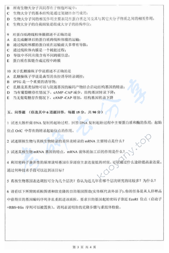 2011年深圳大学911分子生物学考研真题.rar,深圳大学分子生物学,深圳大学,分子生物学,第3张