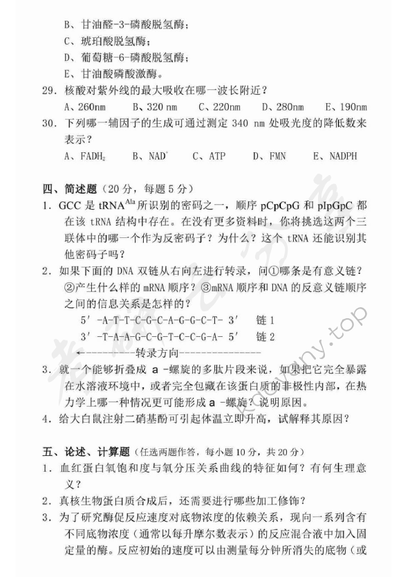 2002年广东海洋大学401生物化学考研真题,广东海洋大学生物化学,广东海洋大学,生物化学,第6张