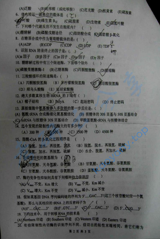 2010年北京化工大学670生物化学考研真题,北京化工大学生物化学,北京化工大学,生物化学,第2张