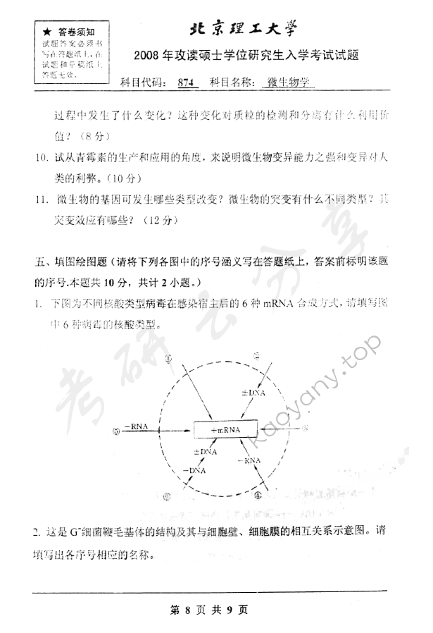 2008年北京理工大学874微生物学考研真题,北京理工大学微生物学,北京理工大学,微生物学,第8张