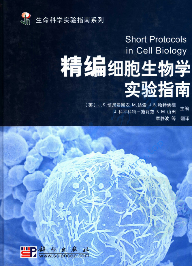精编细胞生物学实验指南,image.png,第1张