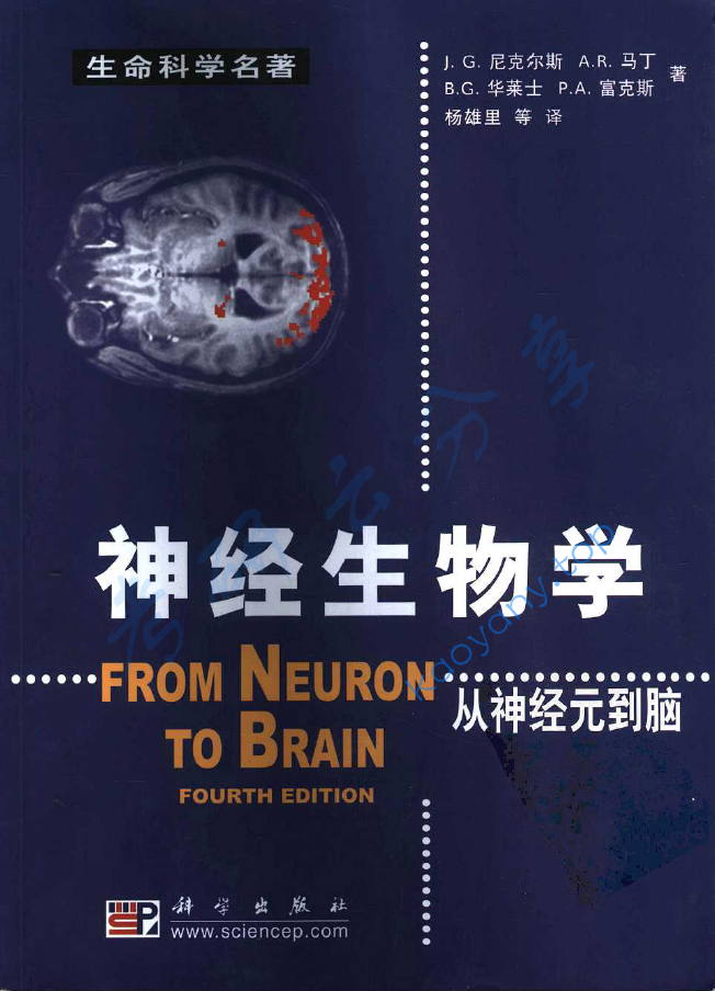 神经生物学：从神经元到脑（美）J.G.尼克尔斯,image.png,第1张