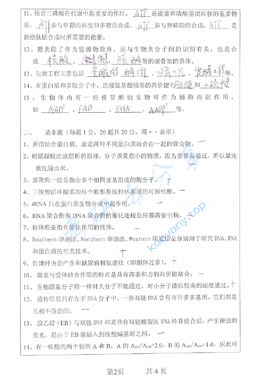 2006年南京工业大学生物化学考研真题,image.png,南京工业大学生物化学,南京工业大学,生物化学,第2张