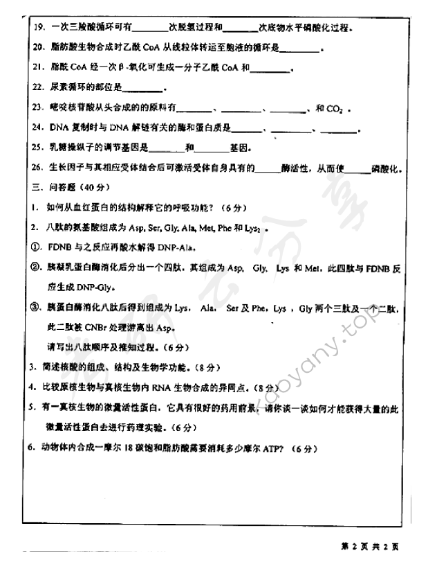 2002年北京师范大学360生物化学考研真题,北京师范大学生物化学,北京师范大学,生物化学,第2张