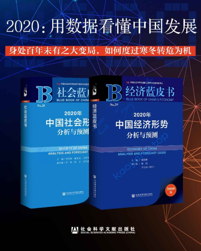 2020用数据看懂中国发展（经济蓝皮书+社会蓝皮书）,image.png,第1张