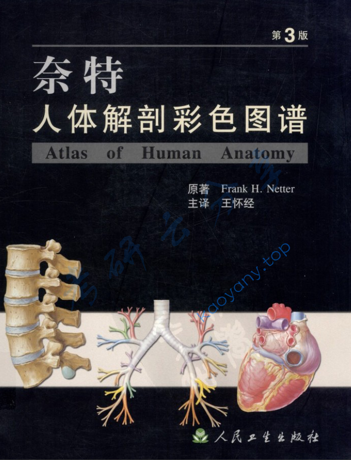 奈特人体解剖彩色图谱（第3版）,image.png,第1张
