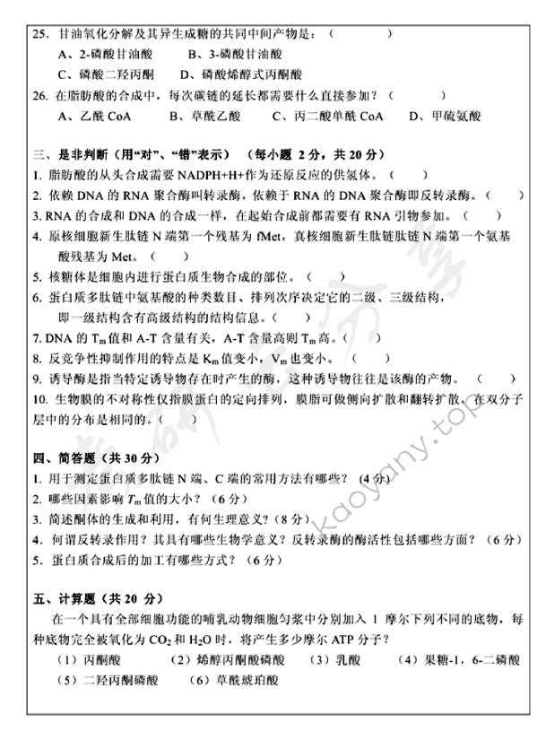 2013年温州大学825生物化学考研真题,温州大学生物化学,温州大学,生物化学,第4张