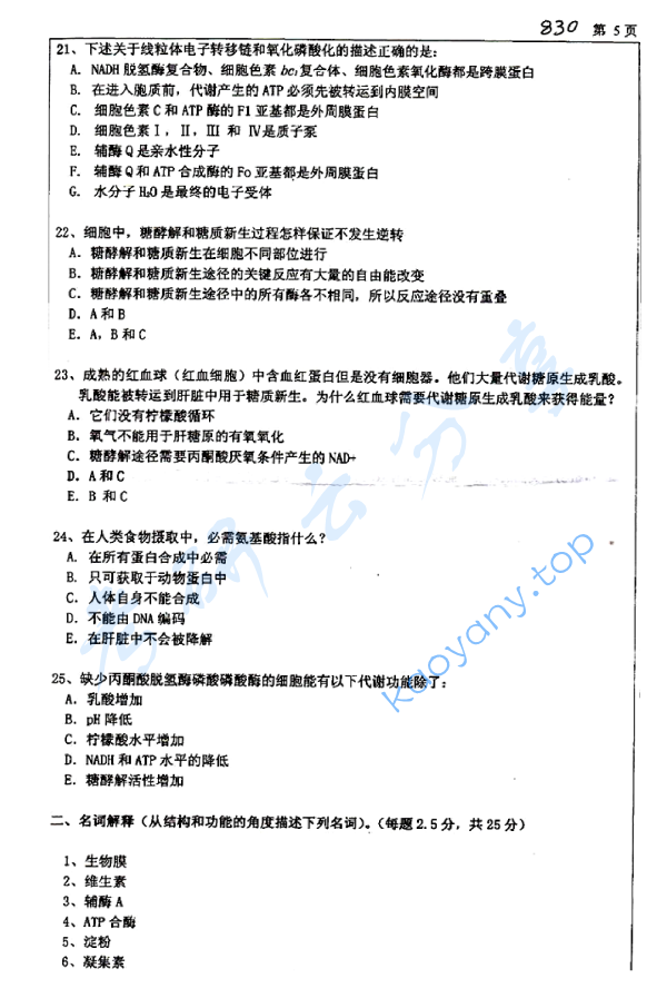 2009年浙江大学830生物化学考研真题,浙江大学生物化学,浙江大学,生物化学,第5张