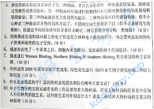 2010年浙江大学830生物化学与分子生物学考研真题及答案,浙江大学生物化学与分子生物学,浙江大学,生物化学与分子生物学,第4张 2010年浙江大学830生物化学与分子生物学考研真题及答案,浙江大学生物化学与分子生物学,浙江大学,生物化学与分子生物学,第4张