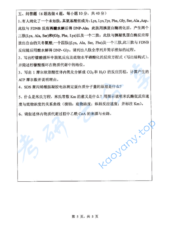 2013年浙江师范大学675生物化学考研真题,浙江师范大学生物化学,浙江师范大学,生物化学,第5张