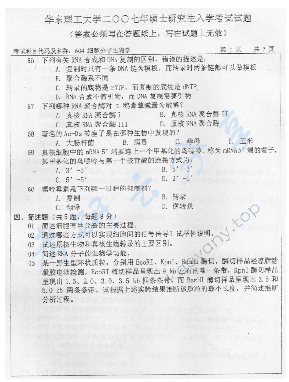 2007年华东理工大学604细胞分子生物学考研真题,华东理工大学细胞分子生物学,华东理工大学,细胞分子生物学,第7张
