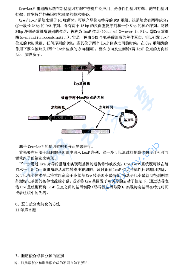 2013年同济大学631生物化学与分子生物学考研真题,同济大学生物化学与分子生物学,同济大学,生物化学与分子生物学,第3张
