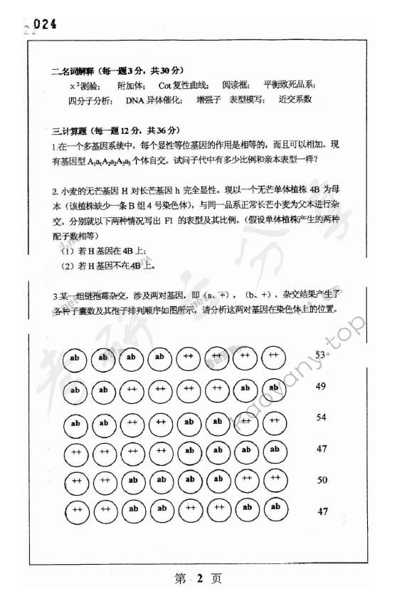 2003年上海师范大学347遗传学考研真题,上海师范大学遗传学,上海师范大学,遗传学,第2张