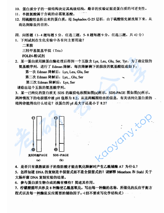 2002年上海师范大学444生物化学考研真题,image.png,上海师范大学生物化学,上海师范大学,生物化学,第2张