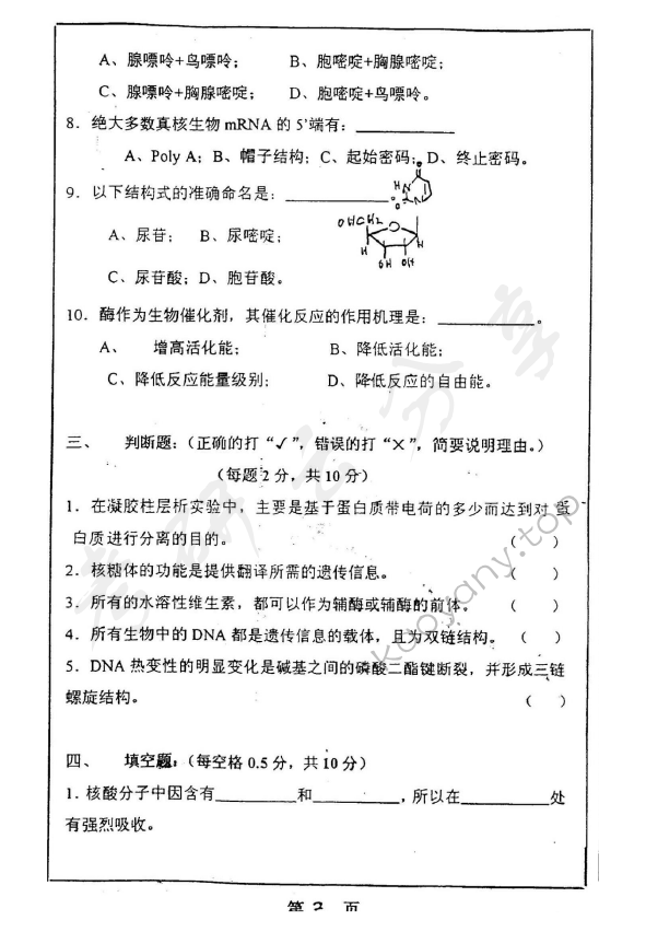 2000年上海师范大学436生物化学考研真题,上海师范大学生物化学,上海师范大学,生物化学,第2张