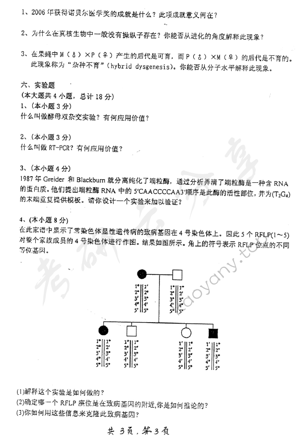 2007年上海交通大学616分子生物学考研真题,上海交通大学分子生物学,上海交通大学,分子生物学,第3张