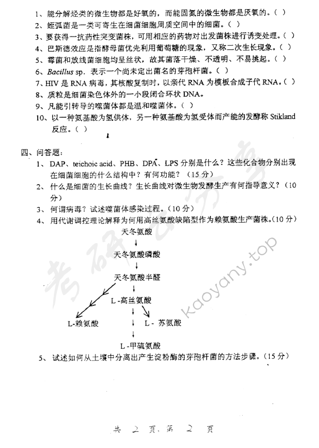 2003年上海交通大学449微生物学考研真题,上海交通大学微生物学,上海交通大学,微生物学,第2张