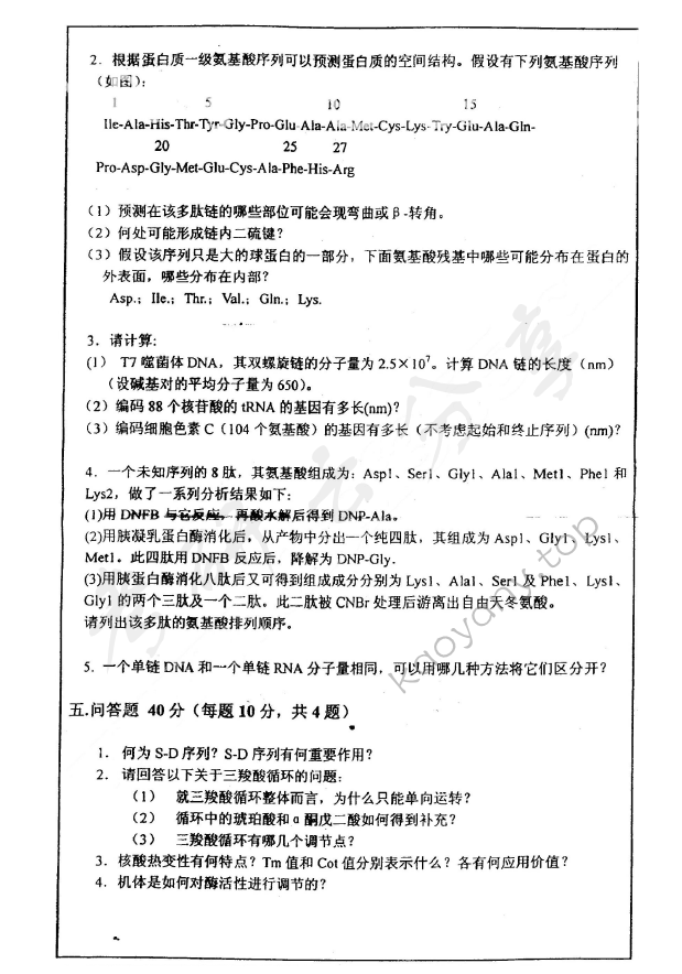 2006年华东师范大学476生物化学考研真题,华东师范大学生物化学,华东师范大学,生物化学,第4张