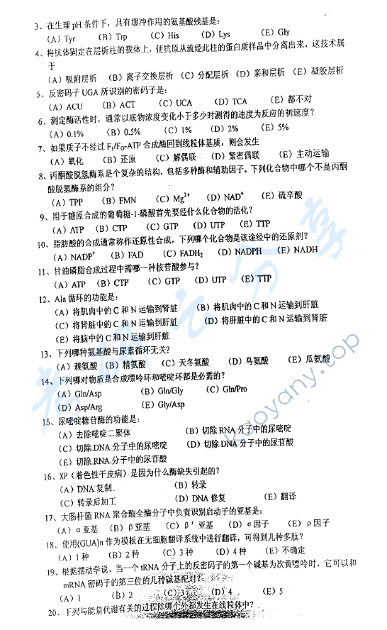 2008年华东师范大学876生物化学考研真题,华东师范大学生物化学,华东师范大学,生物化学,第2张