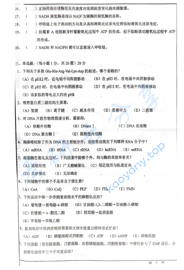 2009年华东师范大学876生物化学考研真题,华东师范大学生物化学,华东师范大学,生物化学,第2张