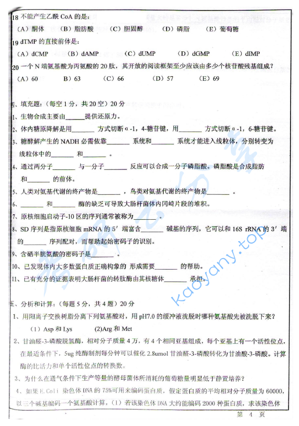 2009年华东师范大学876生物化学考研真题,华东师范大学生物化学,华东师范大学,生物化学,第4张