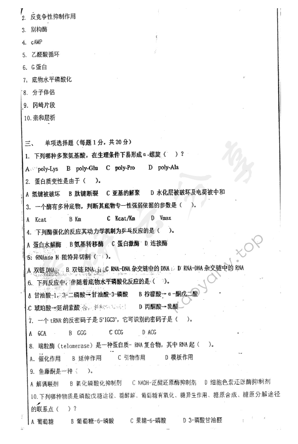 2010年华东师范大学876生物化学考研真题,华东师范大学生物化学,华东师范大学,生物化学,第2张