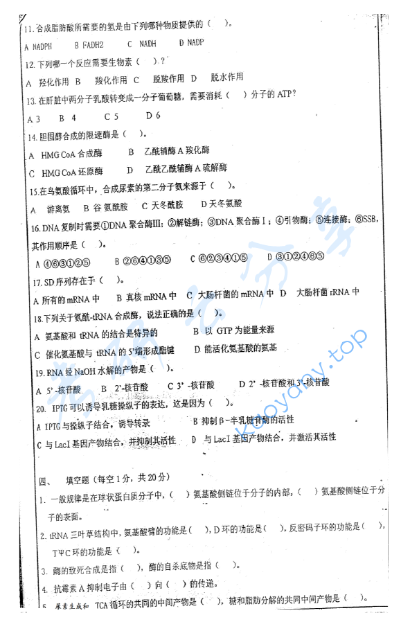 2010年华东师范大学876生物化学考研真题,华东师范大学生物化学,华东师范大学,生物化学,第3张