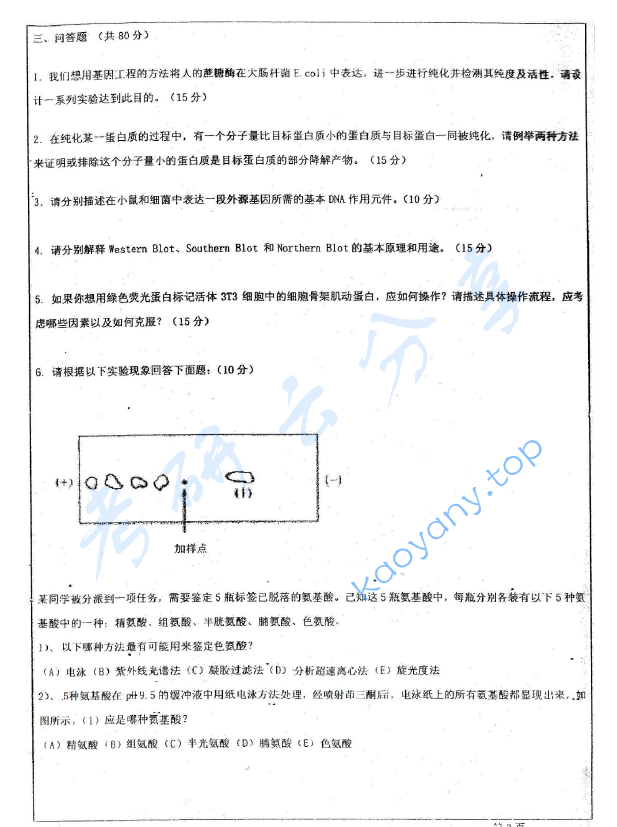 2011年华东师范大学876生物化学考研真题,华东师范大学生物化学,华东师范大学,生物化学,第3张