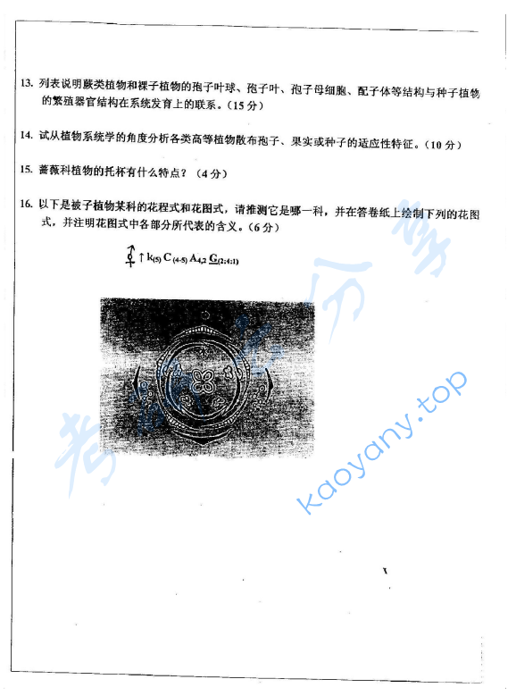 2005年华东师范大学植物学考研真题,image.png,华东师范大学植物学,华东师范大学,植物学,第2张