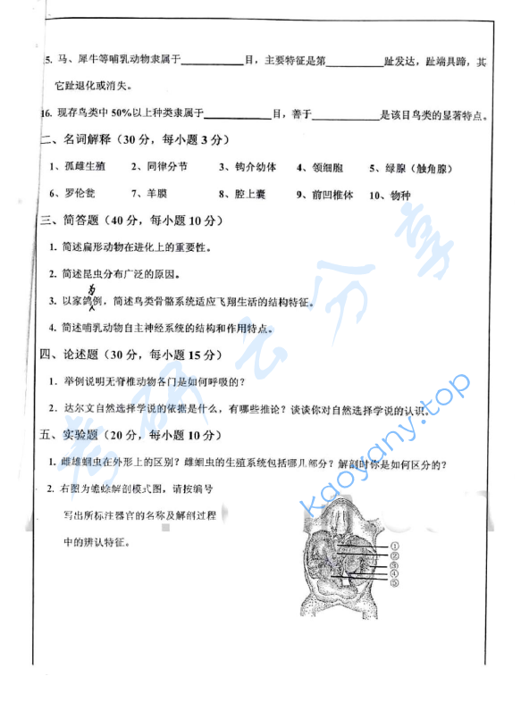 2011年华东师范大学649动物学考研真题,华东师范大学动物学,华东师范大学,动物学,第2张