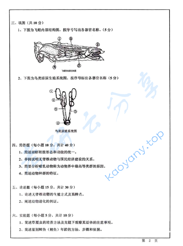 2010年华东师范大学649动物学考研真题,华东师范大学动物学,华东师范大学,动物学,第2张