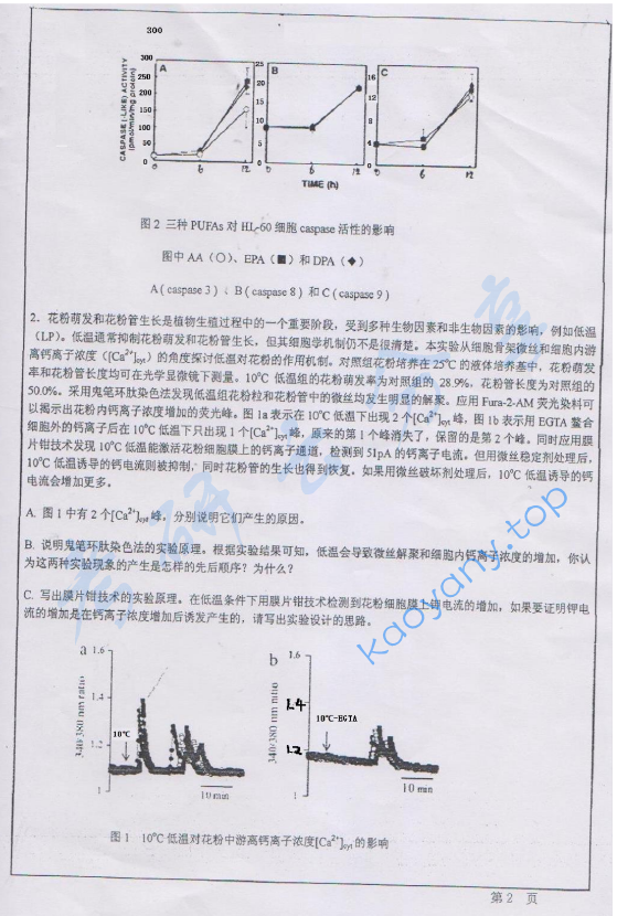 2013年华东师范大学651细胞生物学A考研真题,华东师范大学细胞生物学,华东师范大学,细胞生物学,第2张