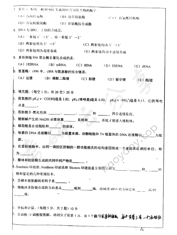 2011年华东师范大学838基础生物化学考研真题,华东师范大学基础生物化学,华东师范大学,基础生物化学,第4张