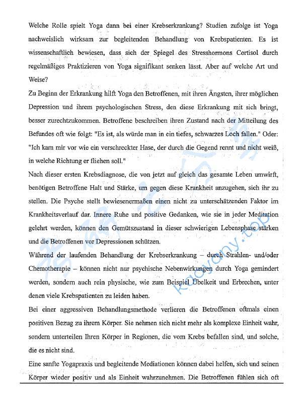 2019年山东大学624实践德语考研真题.pdf,山东大学实践德语,山东大学,实践德语,第4张