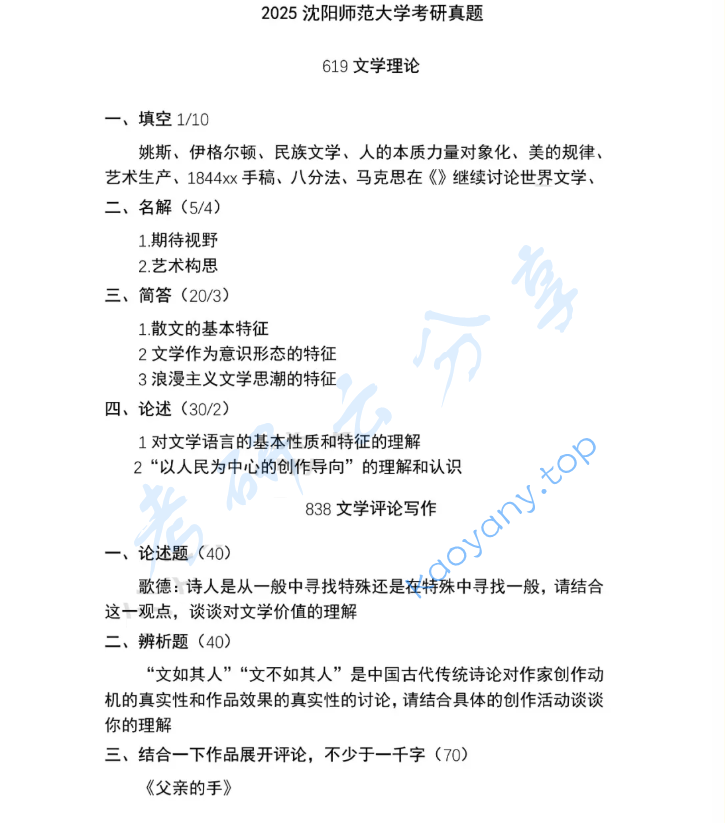 2025年沈阳师范大学838文学评论写作考研真题