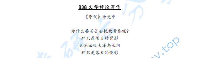2024年沈阳师范大学838文学评论写作考研真题