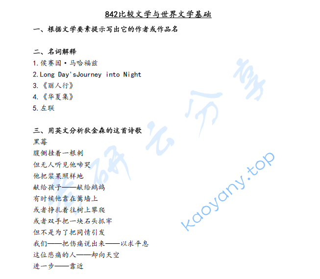 2024年北京大学842比较文学与世界文学考研真题
