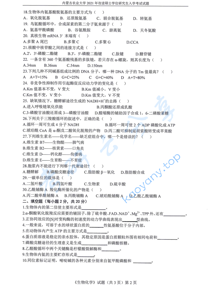 2021年内蒙古农业大学338生物化学考研真题,image.png,内蒙古农业大学生物化学,内蒙古农业大学,生物化学,第2张