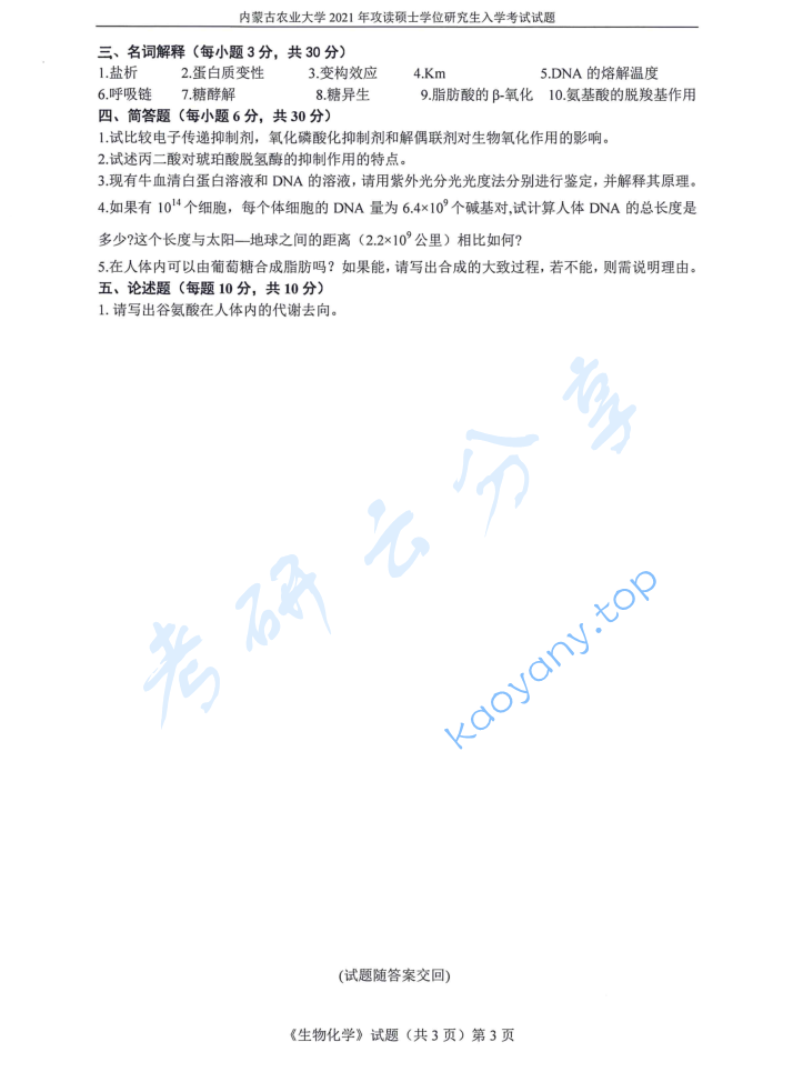 2021年内蒙古农业大学338生物化学考研真题,image.png,内蒙古农业大学生物化学,内蒙古农业大学,生物化学,第3张