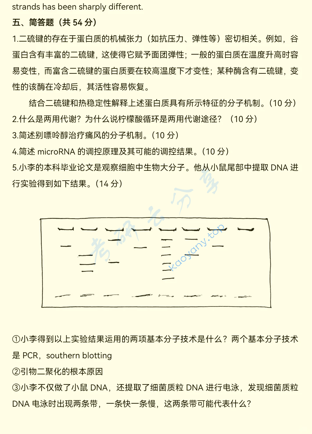2025年厦门大学338生物化学考研真题,image.png,厦门大学生物化学,厦门大学,生物化学,第3张