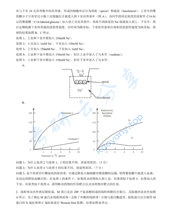 2023年厦门大学620分子细胞生物学考研真题,image.png,厦门大学分子细胞生物学,厦门大学,分子细胞生物学,第3张
